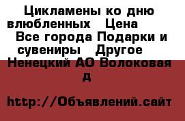 Цикламены ко дню влюбленных › Цена ­ 180 - Все города Подарки и сувениры » Другое   . Ненецкий АО,Волоковая д.